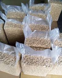 Cashew Nuts