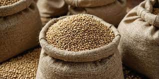 Sesame Seeds