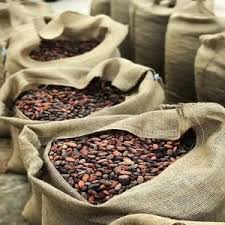 Premium Cocoa Beans