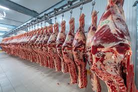 Meat Processing